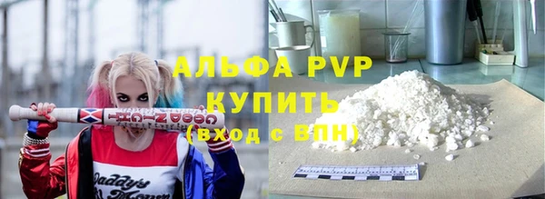 шишки Белоозёрский