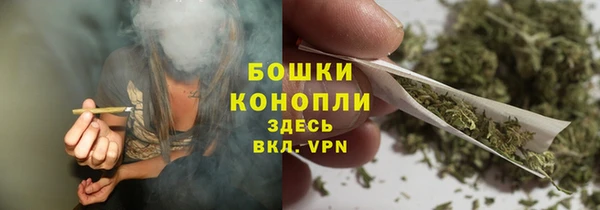 трава Магас