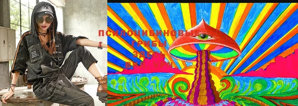амф Белокуриха