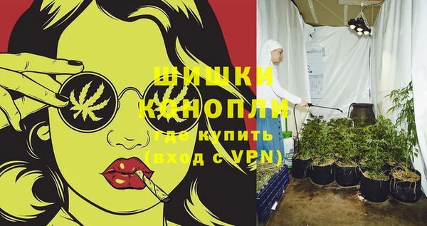 шишки Белоозёрский