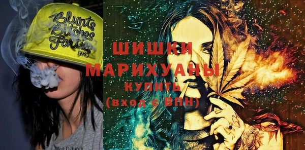 шишки Белоозёрский