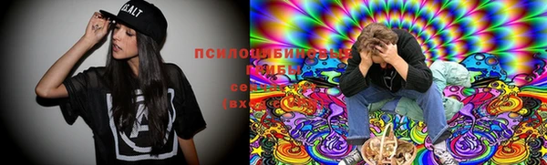 шишки Белоозёрский